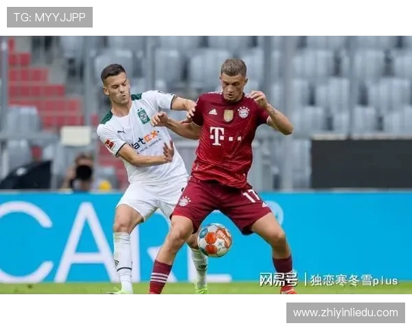 德甲转会市场汇总图：2024赛季全队转会动向一览